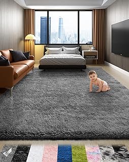 Best living room rug