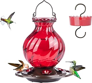 Best hummingbird feeder with ant moat and bee proof