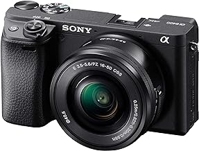 Best mirrorless cameras