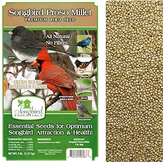 Best millet seed