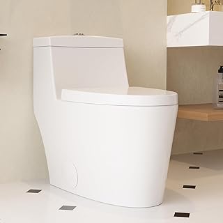 Best modern toilets