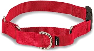 Best martingale collar