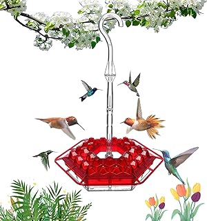 Best mary’s hummingbird feeder