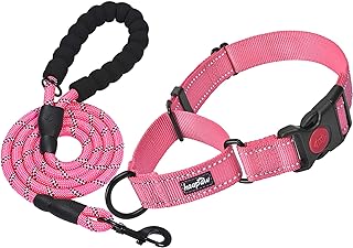 Best martingale dog collar and leash set