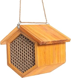 Best mason bee house