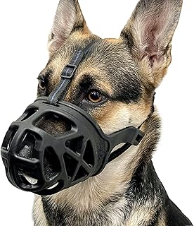 Best muzzle