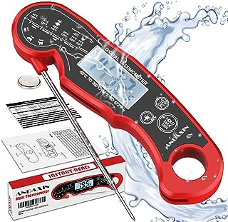 Best simple meat thermometer