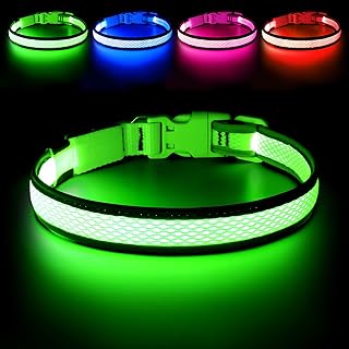 Best neon collar