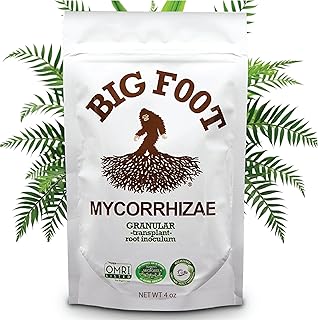 Best mycorrhizae